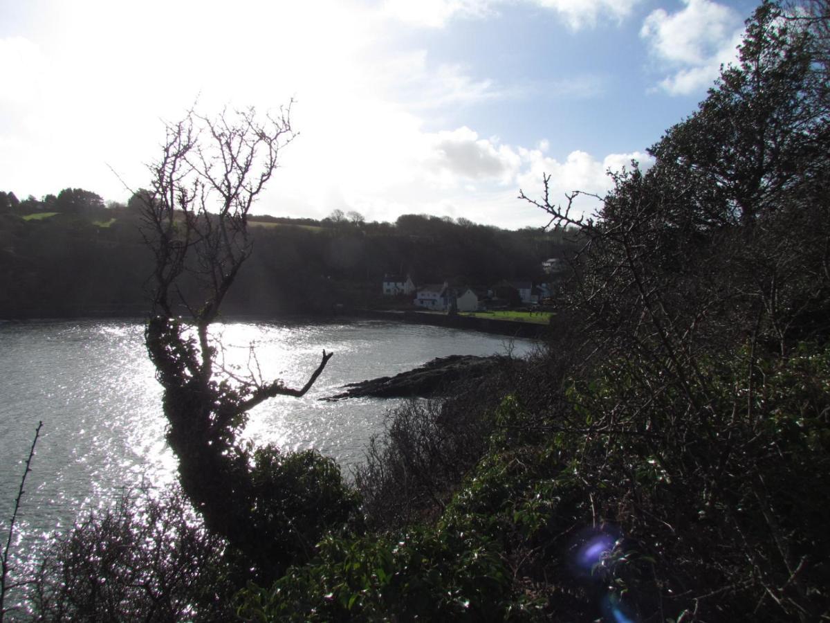 Villa Ty Nain, Newport, Pembrokeshire Newport  Exterior foto