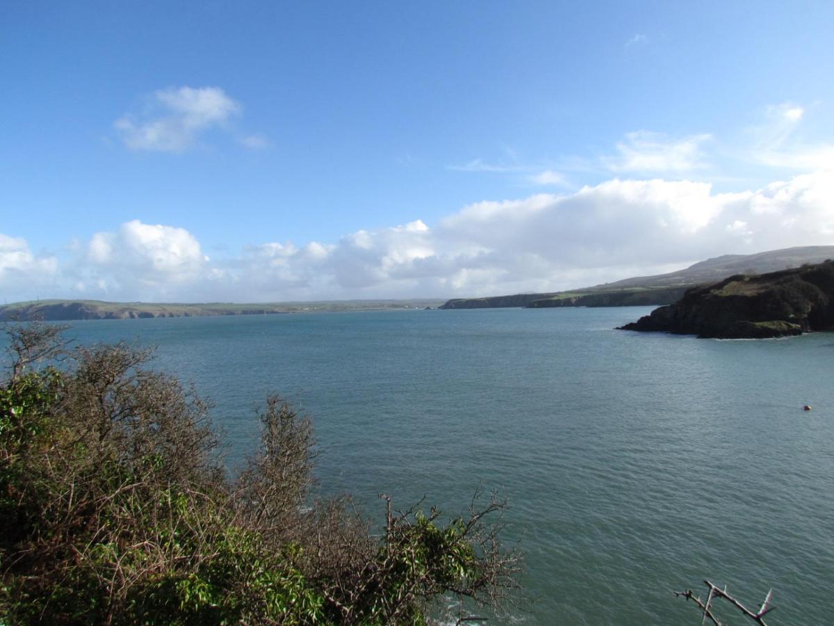 Villa Ty Nain, Newport, Pembrokeshire Newport  Exterior foto