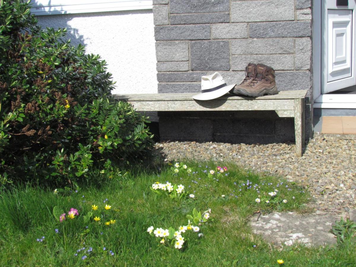 Villa Ty Nain, Newport, Pembrokeshire Newport  Exterior foto